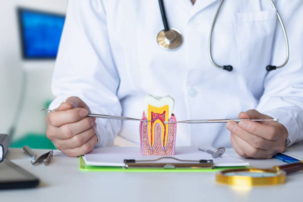 Best Emergency Dentist Near Me  in Gibraltar, MI